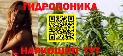 шишки Старая Купавна