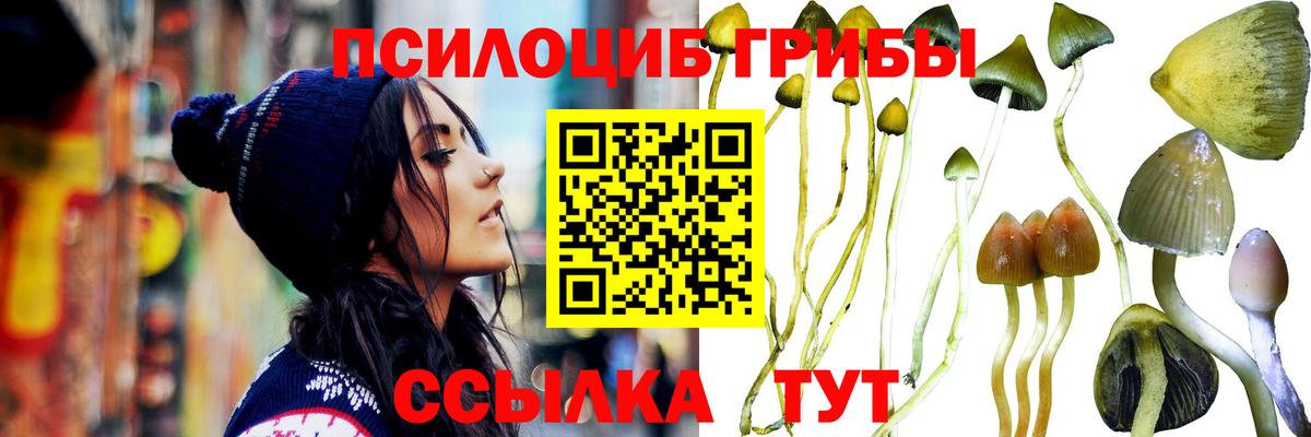 Белорецк  Псилоцибиновые грибы Psilocybine cubensis  Вход с VPN 